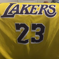 LeBron James Swingman Jersey (XL)