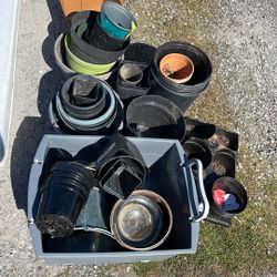 Free Pots For Planting!