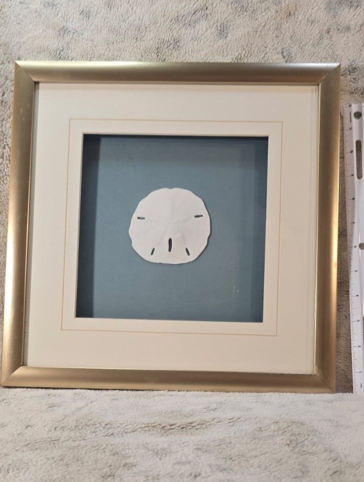 Sand Dollar Wall Decor