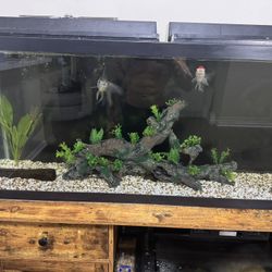 55 Gal Tank