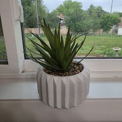 Fake Plant, Ceramic Base