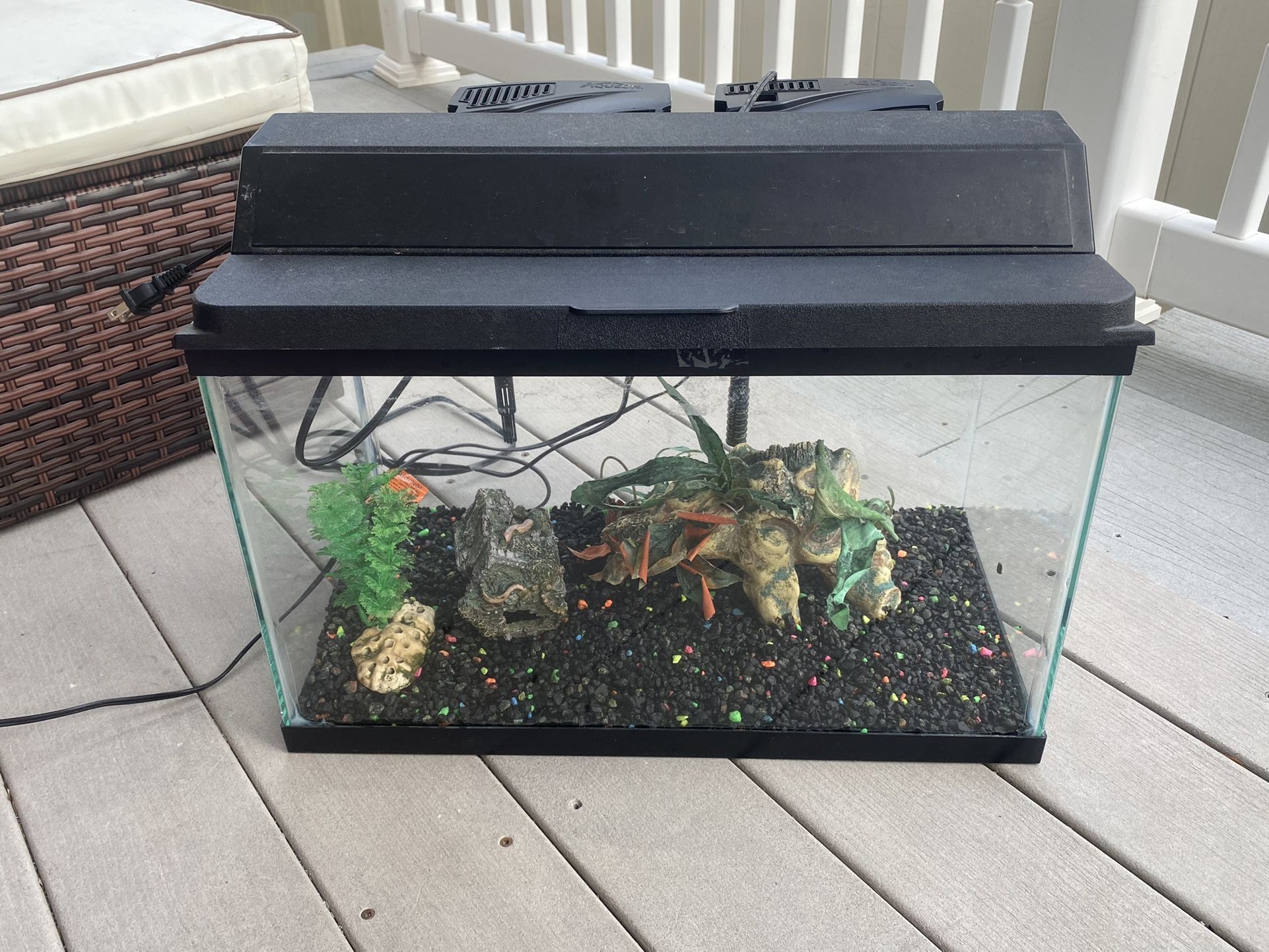 Fish Tank With Two Filters  