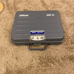 Pelouze Utility scale 250lb Capacity