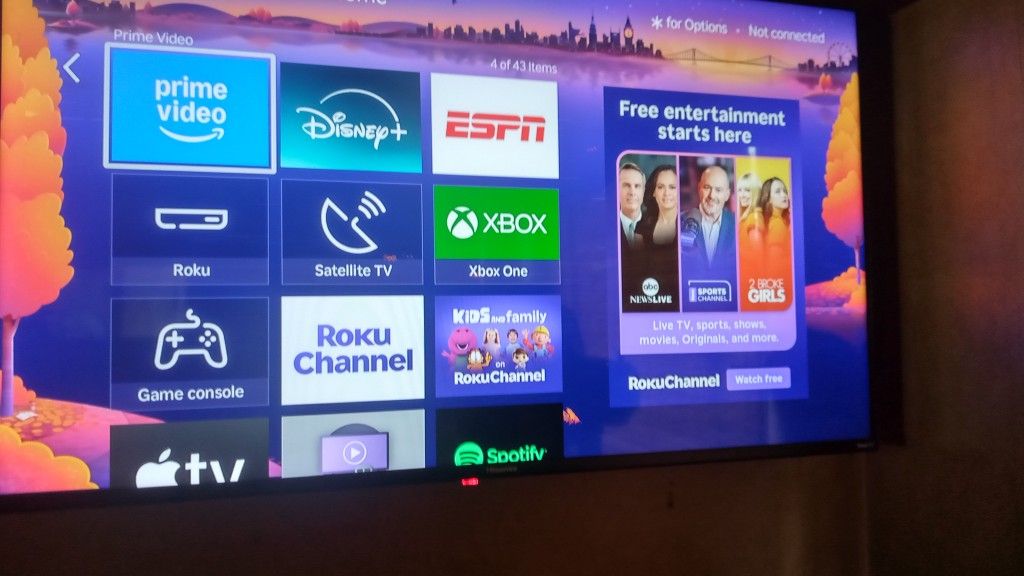 Flat Screen TV