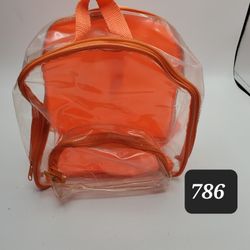 Clear And Orange Carrying Case 