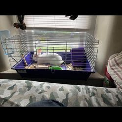 Rabbit Cage 