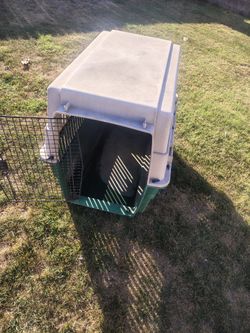 Big dog kennel
