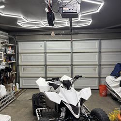 2007 Suzuki LTR 450