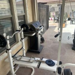 Weight Bench 