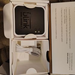 Blink Sync Module 