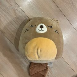 maisha the beaver squishmallow 