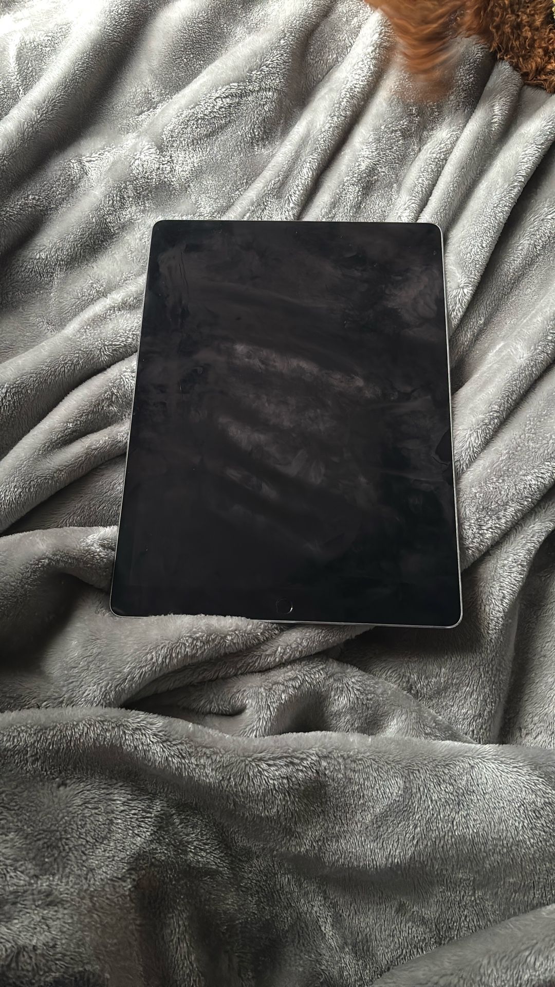 Apple IPad, grey, 12 inch