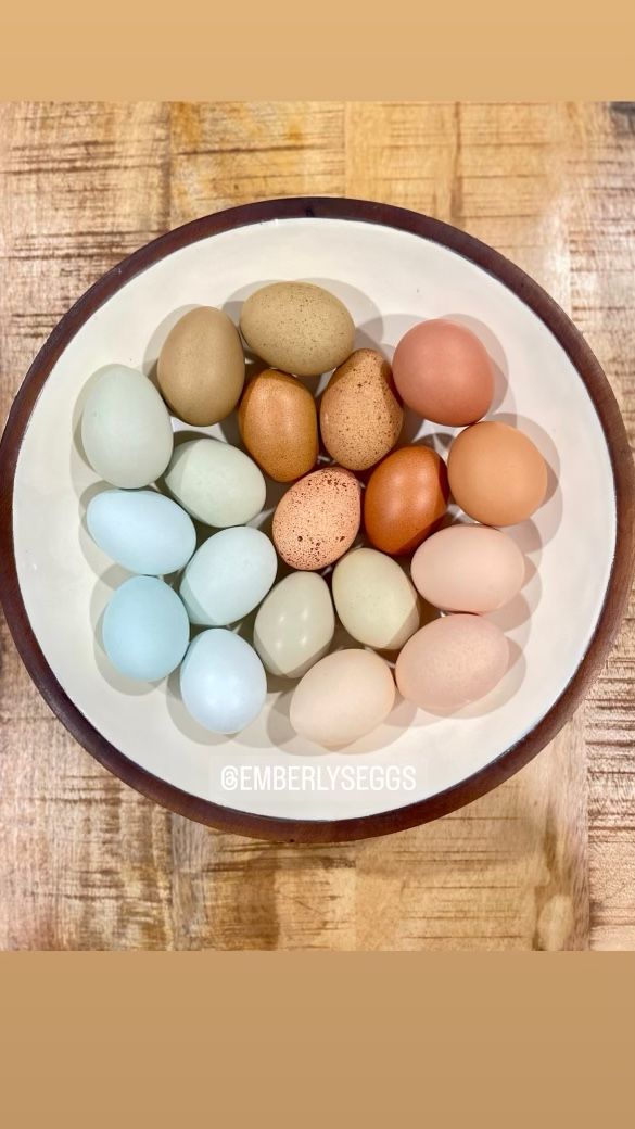Farm Fresh Eggs