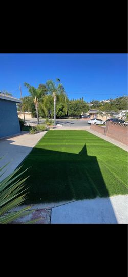 Turf in fairly good condition
