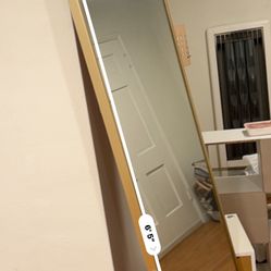 6’4 Gold Rim Mirror
