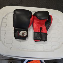 16oz Boxing Gloves