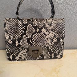 Aldo purse