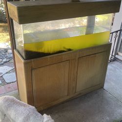 55 Gallon Fish Tank With Stand And Canopy