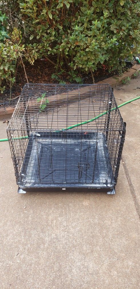 Rabbit Cage