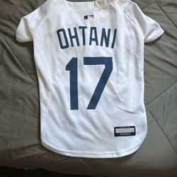 Official Dog Jerseys 