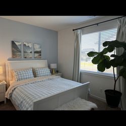 Queen White Bed And Box Spring