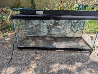 90 gallon terarrium