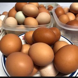 Fresh Eggs $4.00 A dozen 