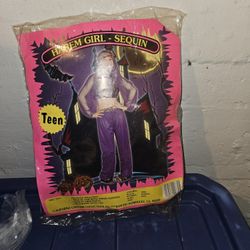 Teen Harem Girl Costume 