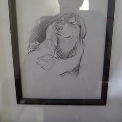 Pet/Dogs Portrait Custom
