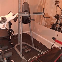 Dip / Leg Raise / Pull-Up Rack