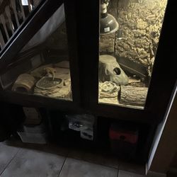 Bearded Dragon Custom Wood Cage 