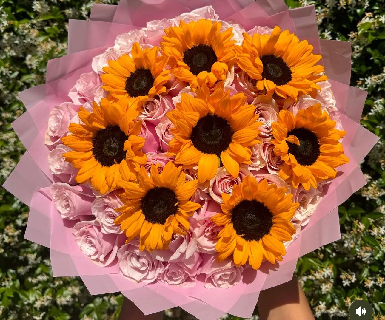 Rosas Amarillas