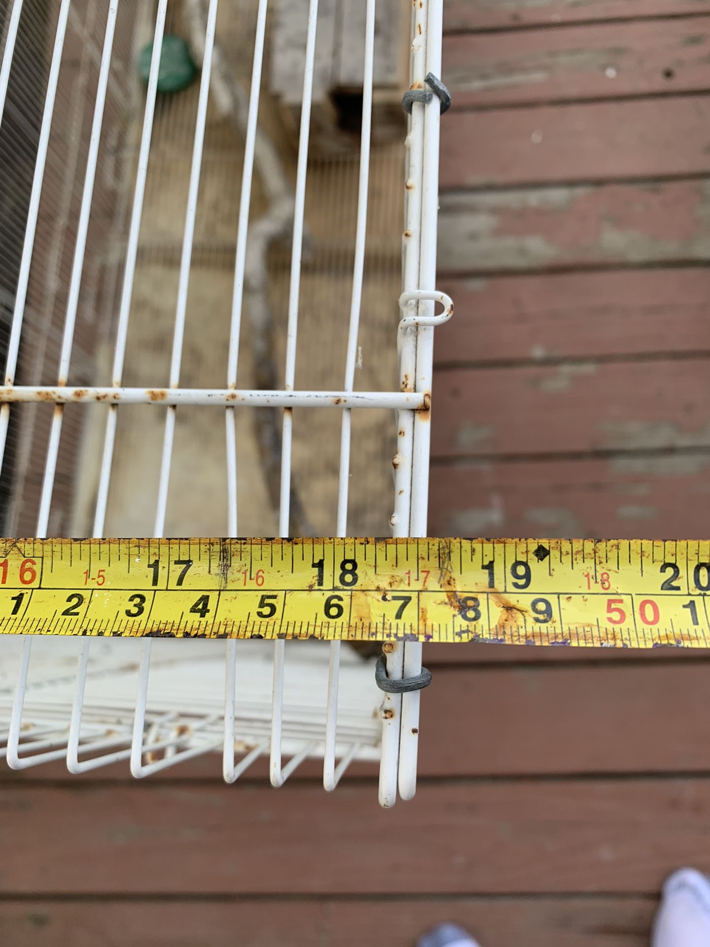 Bird cage