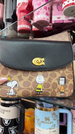 Snoopy coach