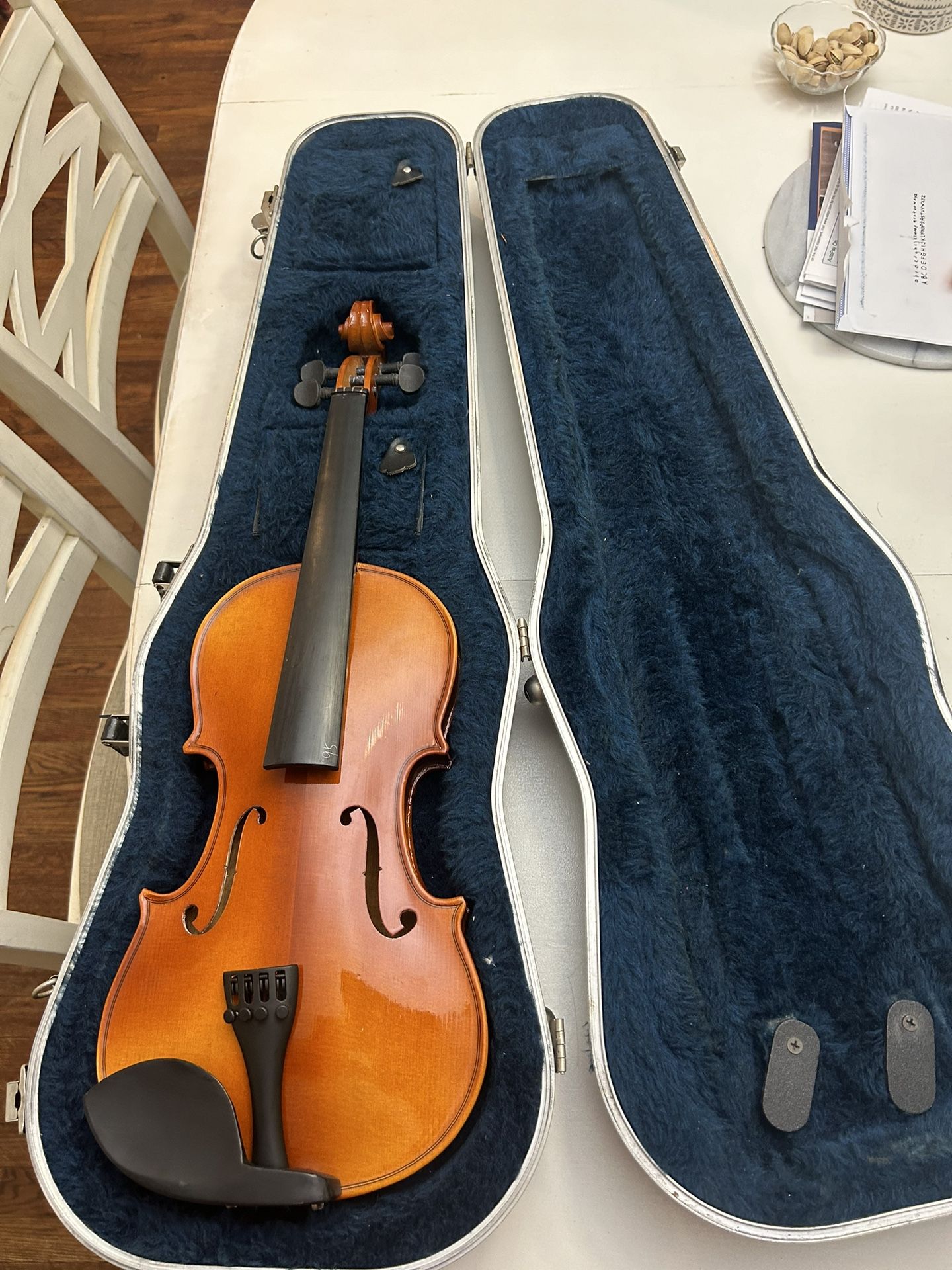 Violin Project 