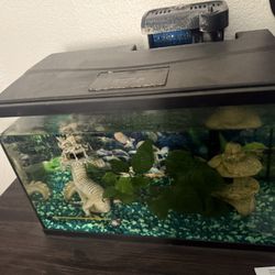 Two 5gal Fish Tanks