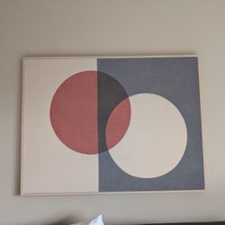 New Canvas Wall Art 41w x 31H x 2"D $80