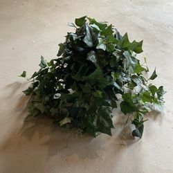Greenery Basket 