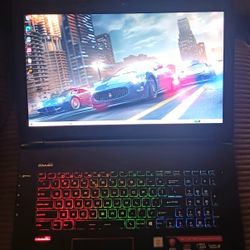 17.3" MSI Gaming Laptop Intel Core i7 CPU 32 GB RAM 1TB SSD 1080P 120Hz LCD Nvidia GTX 1070 8 GB DDR5 Graphics Wi-Fi Wireless Windows 11