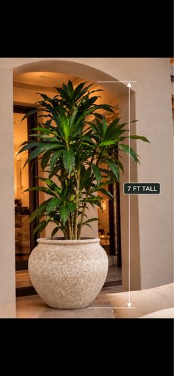 NEW 7 FT ARTIFICIAL DRACAENA TREE