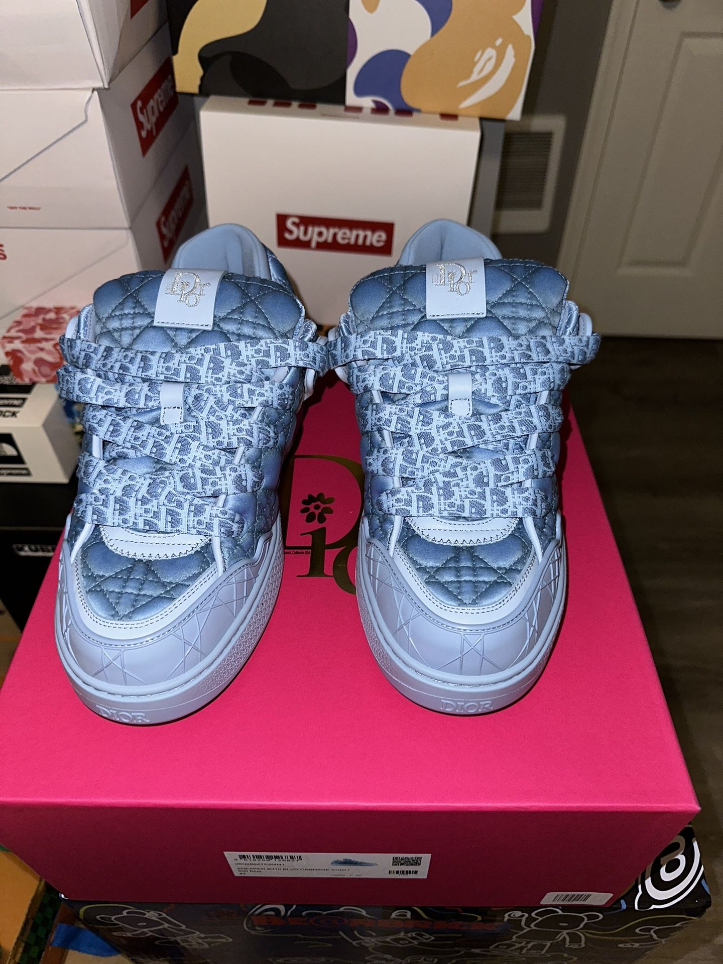 Dior X Erl B9S Skater Sneaker Limited Numbered New