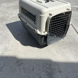 Dog Kennel
