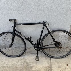 Fuji Road Bike