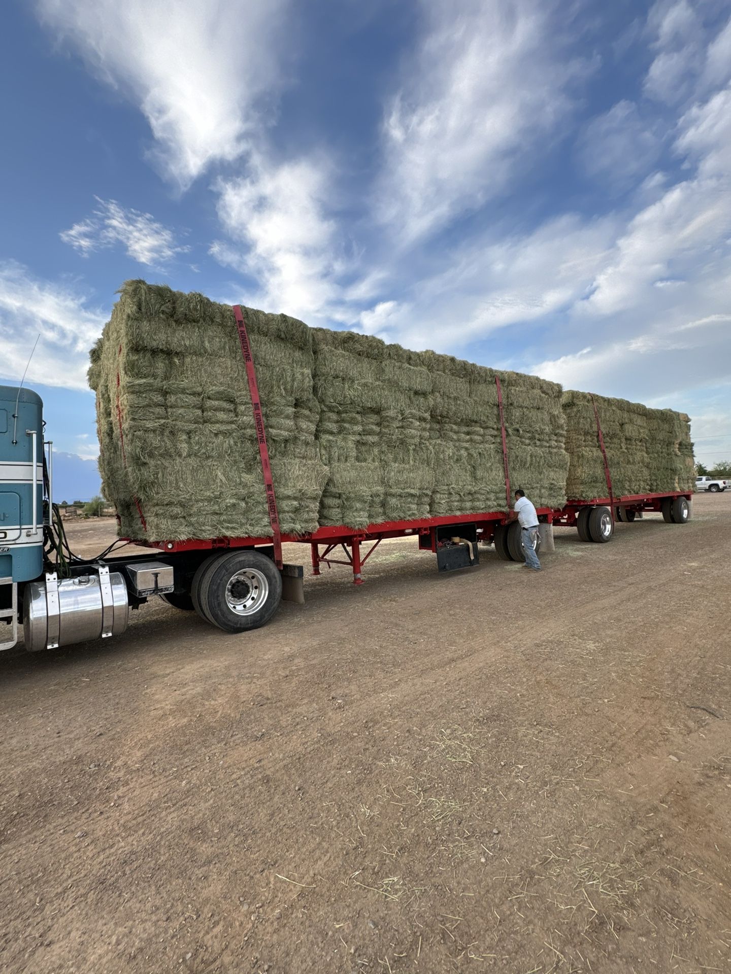 Alfalfa-Bermuda - Mix- Premium Alfalfa 