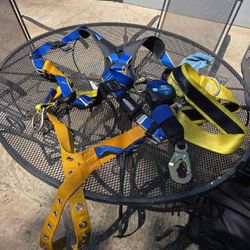 Safety Harness 