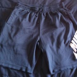 Nike Sb Shorts