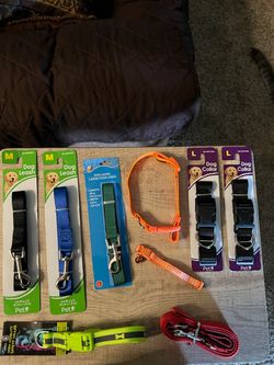 Dog Leashes and Collars Bundle – Mixed Sizes