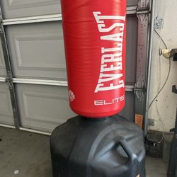 Youth Punching bag 