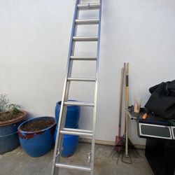 Ladder 