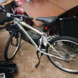 Roadmaster 10 Speed Bike 